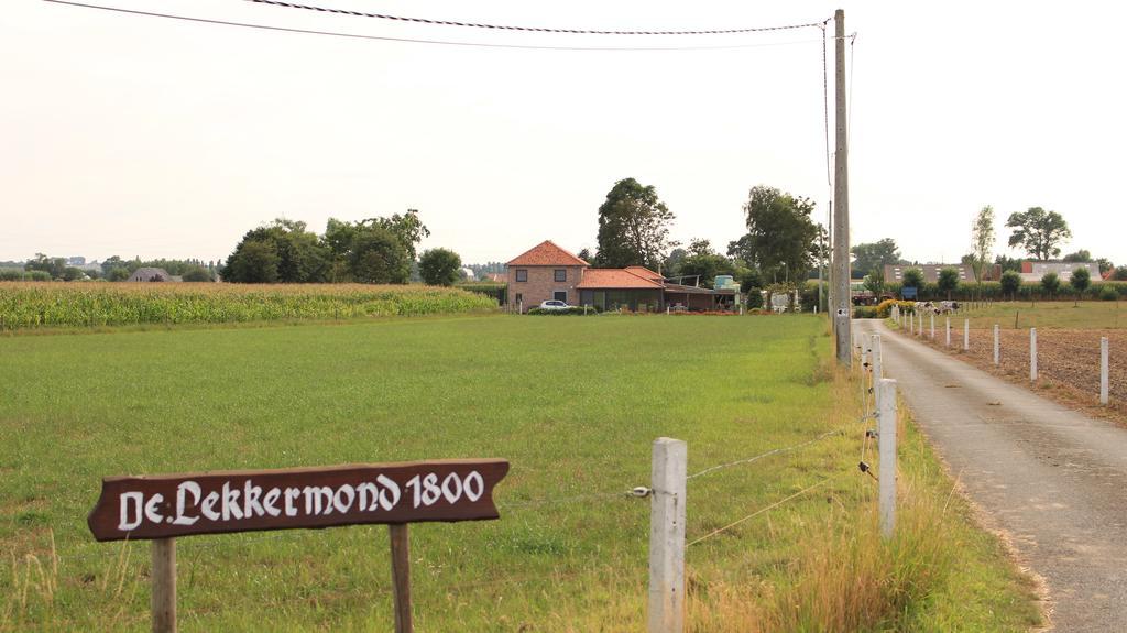 De Lekkermond Guest House ดิคส์มาวเดอ ภายนอก รูปภาพ